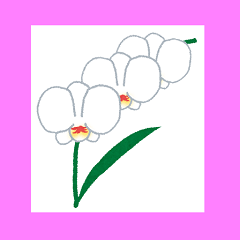 kochoucochou