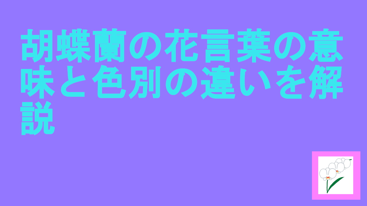 胡蝶蘭の花言葉の意味と色別の違いを解説