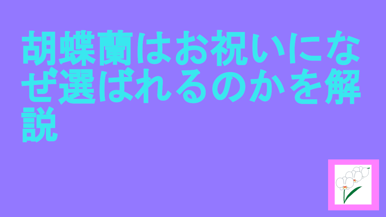 胡蝶蘭はお祝いになぜ選ばれるのかを解説