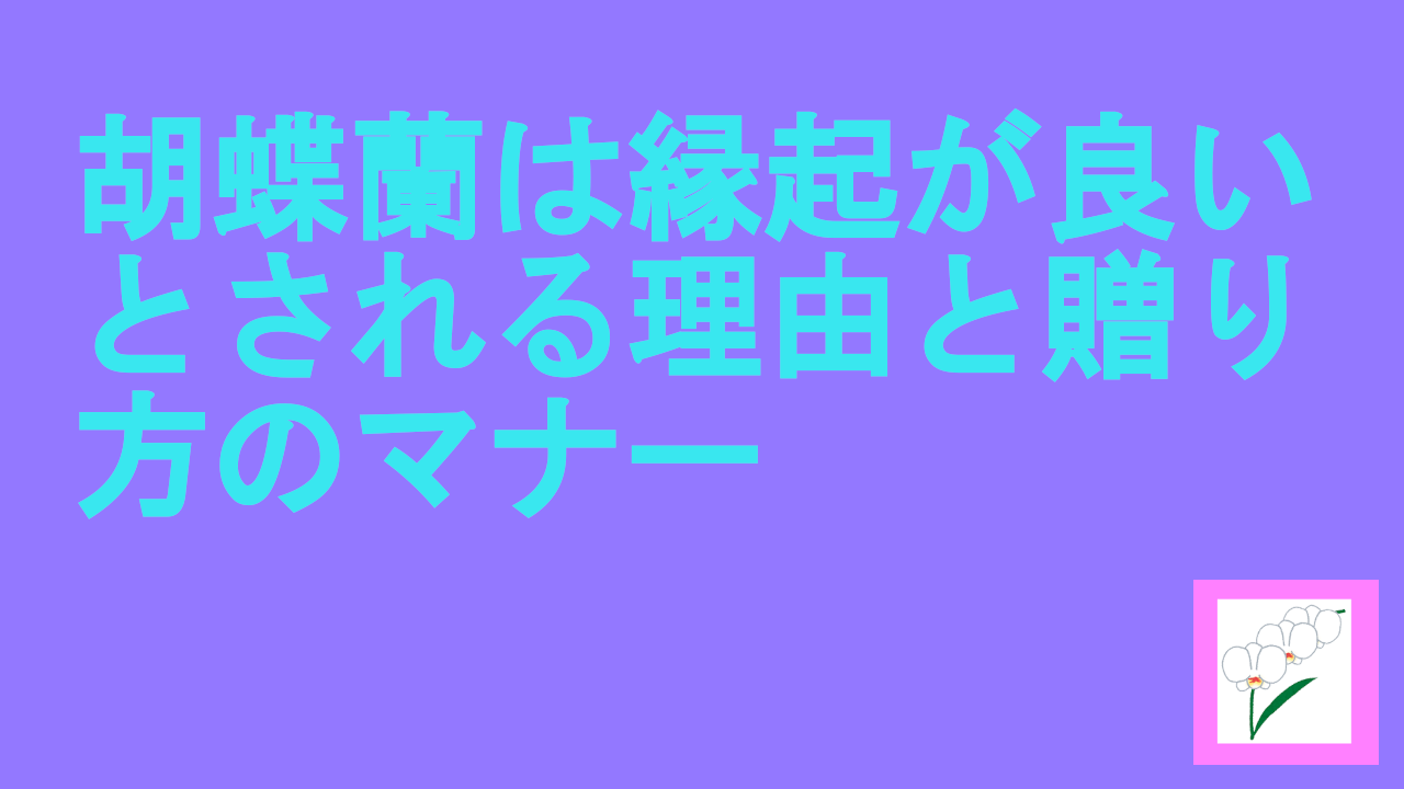 胡蝶蘭は縁起が良いとされる理由と贈り方のマナー