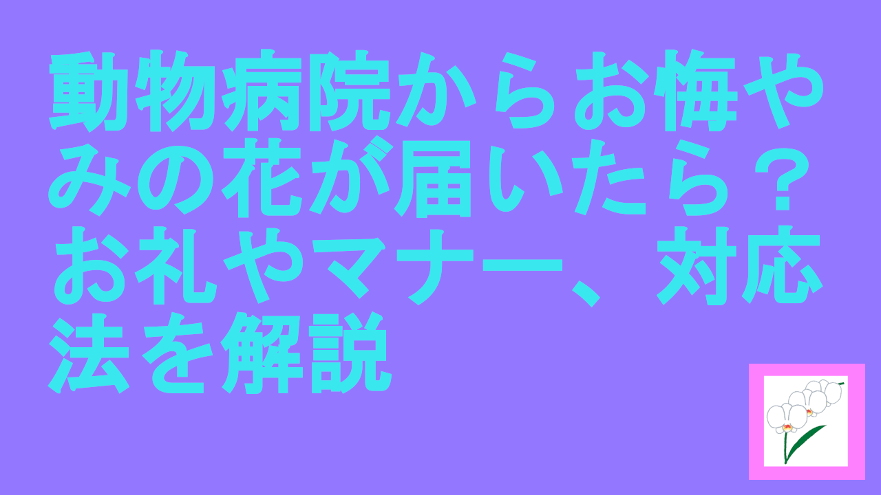 動物病院からお悔やみの花が届いたら？お礼やマナー、対応法を解説