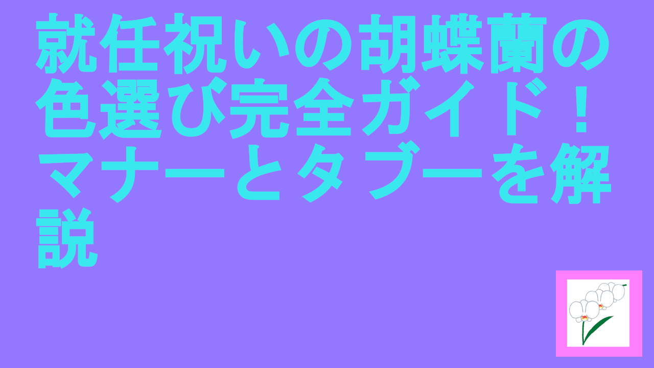 就任祝いの胡蝶蘭の色選び完全ガイド！マナーとタブーを解説