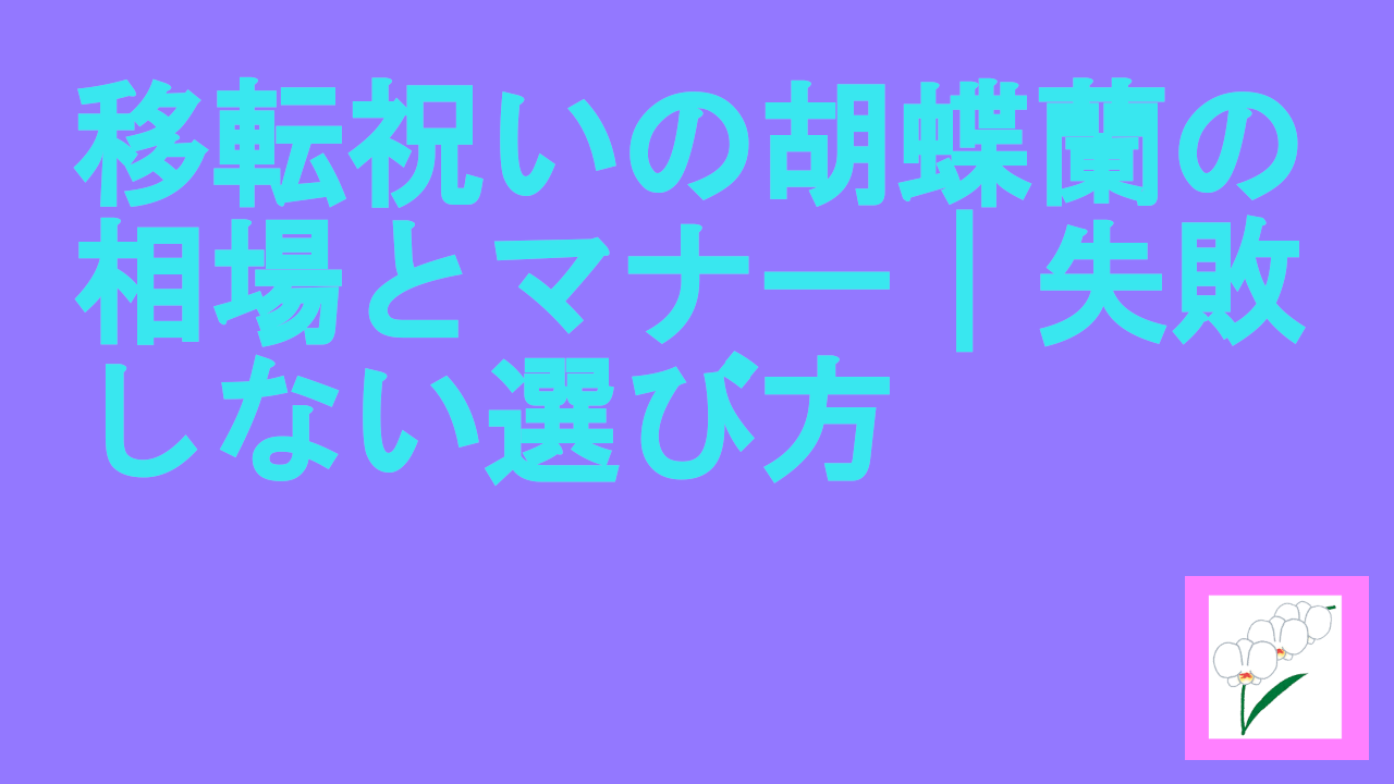 移転祝いの胡蝶蘭の相場とマナー｜失敗しない選び方.