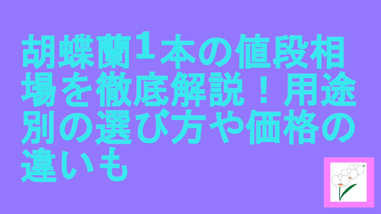 胡蝶蘭1本の値段相場を徹底解説！用途別の選び方や価格の違いも