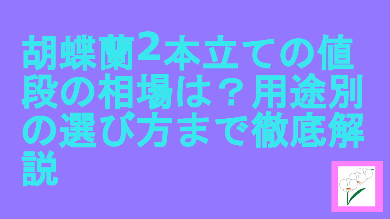 胡蝶蘭2本立ての値段の相場は？用途別の選び方まで徹底解説
