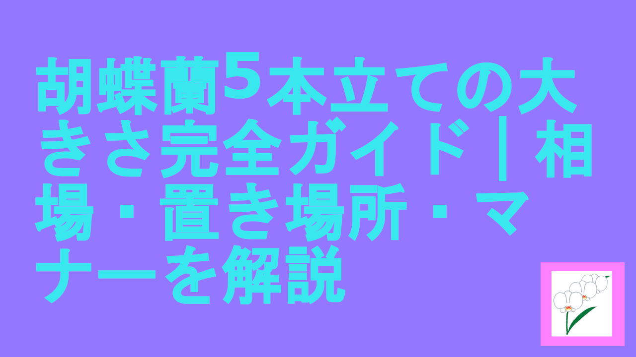 胡蝶蘭5本立ての大きさ完全ガイド｜相場・置き場所・マナーを解説