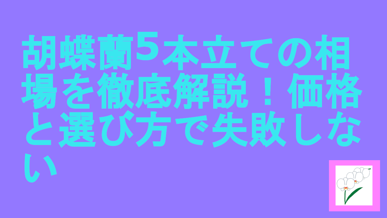 胡蝶蘭5本立ての相場を徹底解説！価格と選び方で失敗しない