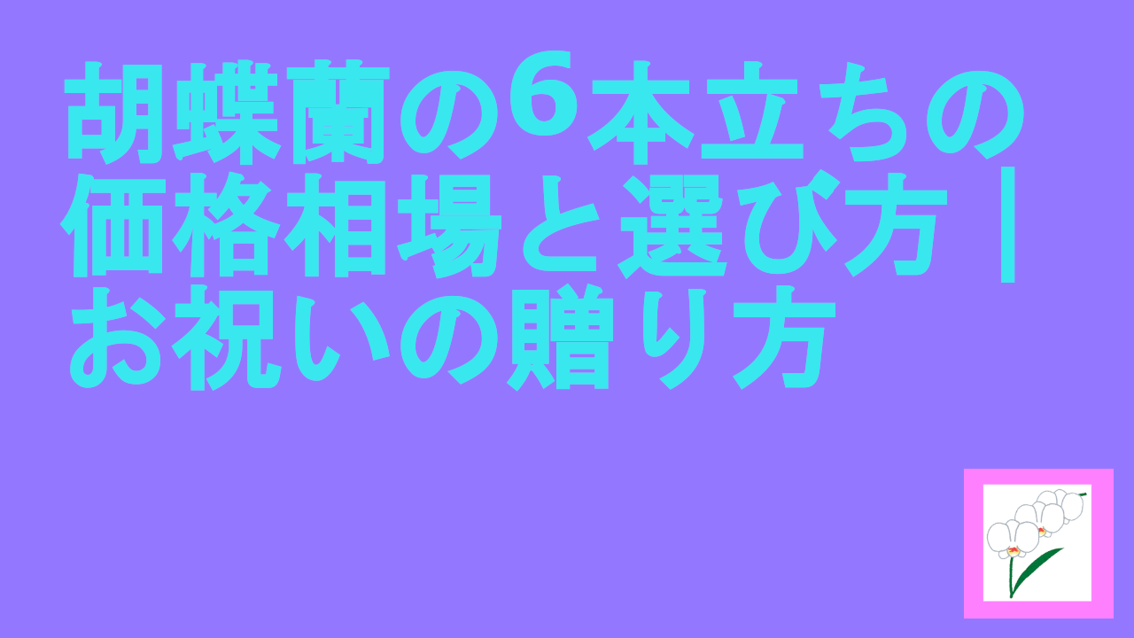 胡蝶蘭の6本立ちの価格相場と選び方｜お祝いの贈り方