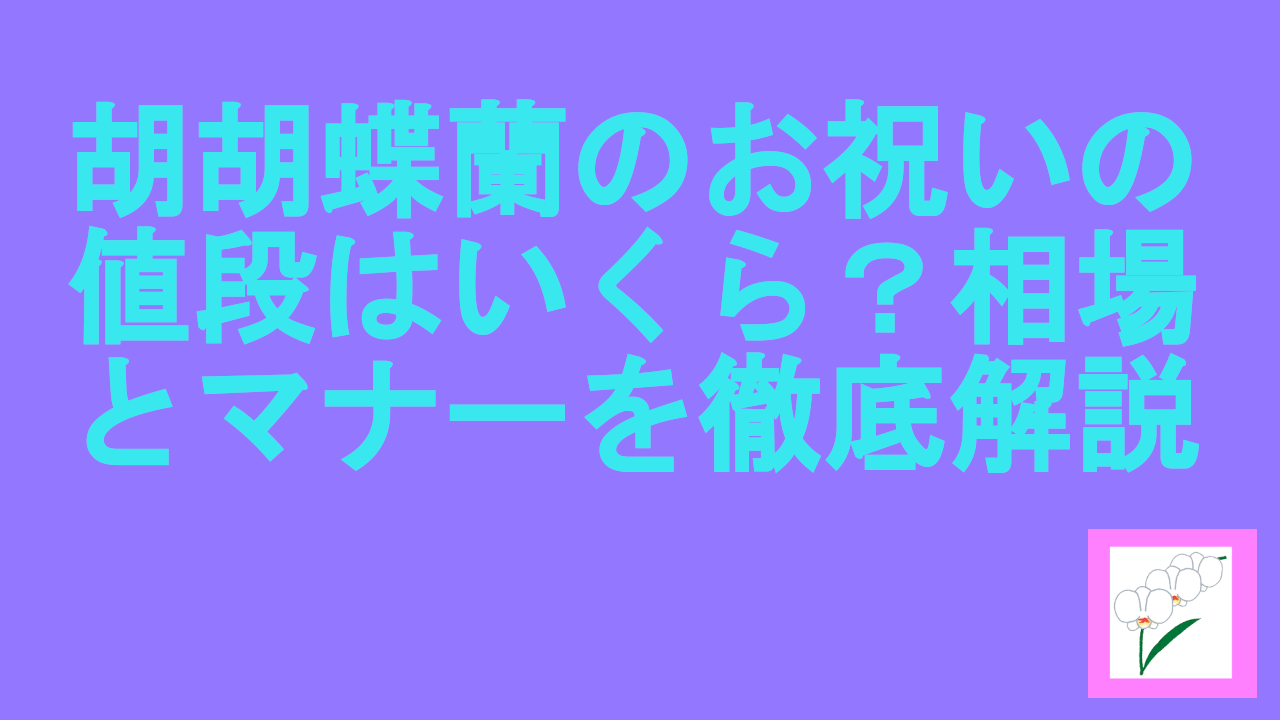 胡蝶蘭のお祝いの値段はいくら？相場とマナーを徹底解説