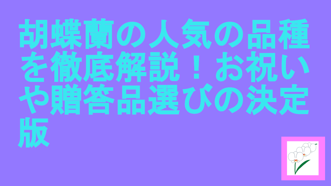 胡蝶蘭の人気の品種を徹底解説！お祝いや贈答品選びの決定版
