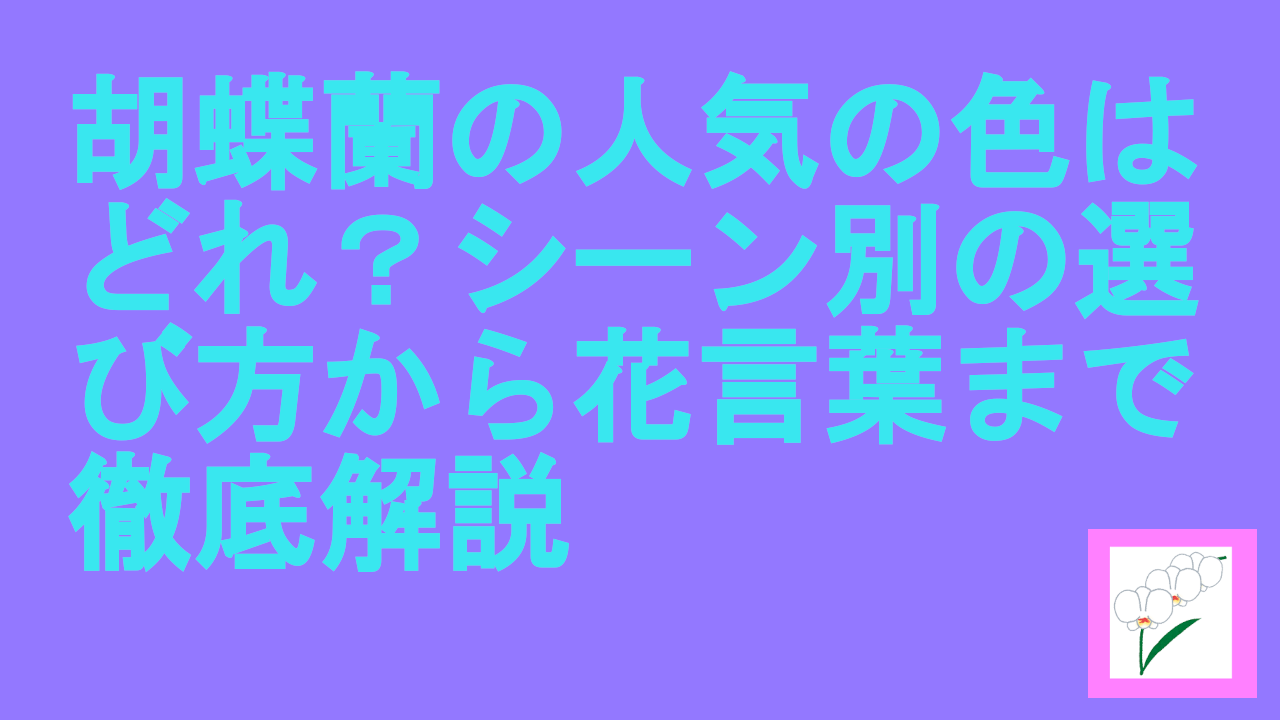胡蝶蘭の人気の色はどれ？シーン別の選び方から花言葉まで徹底解説