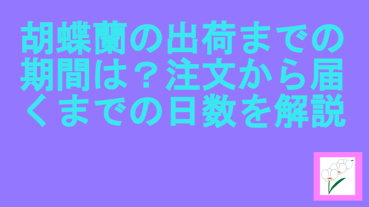 胡蝶蘭の出荷までの期間は？注文から届くまでの日数を解説.