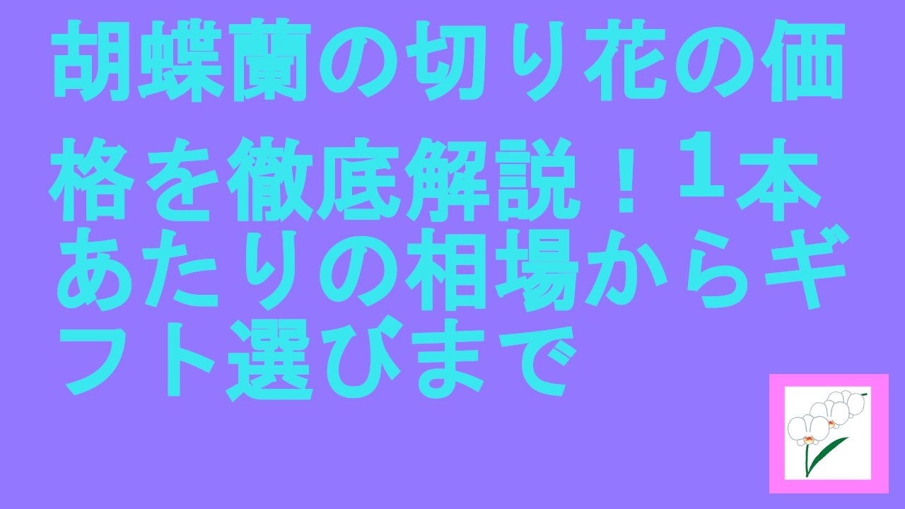 胡蝶蘭の切り花の価格を徹底解説！1本あたりの相場からギフト選びまで