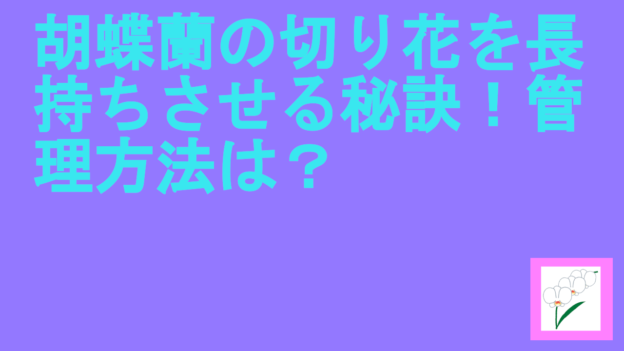 胡蝶蘭の切り花を長持ちさせる秘訣！管理方法は？.