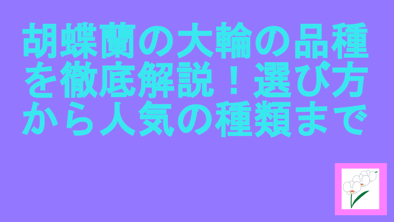 胡蝶蘭の大輪の品種を徹底解説！選び方から人気の種類まで