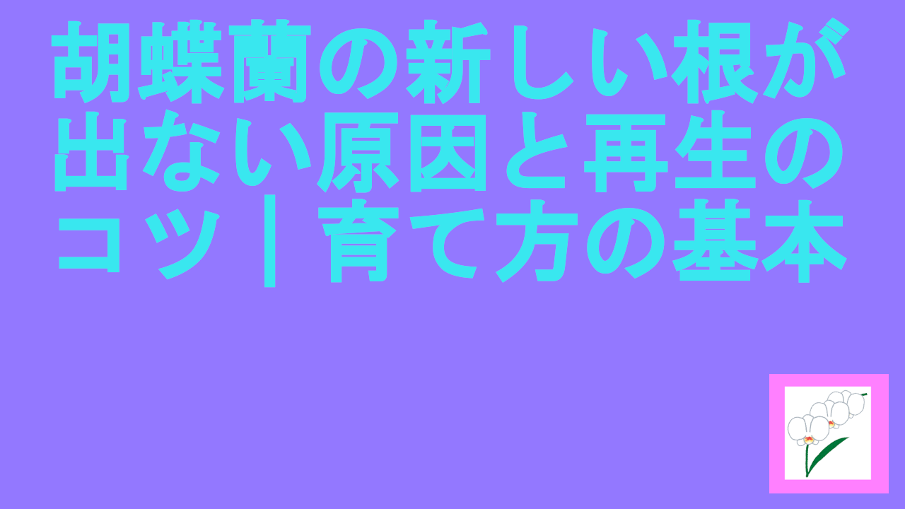 胡蝶蘭の新しい根が出ない原因と再生のコツ｜育て方の基本