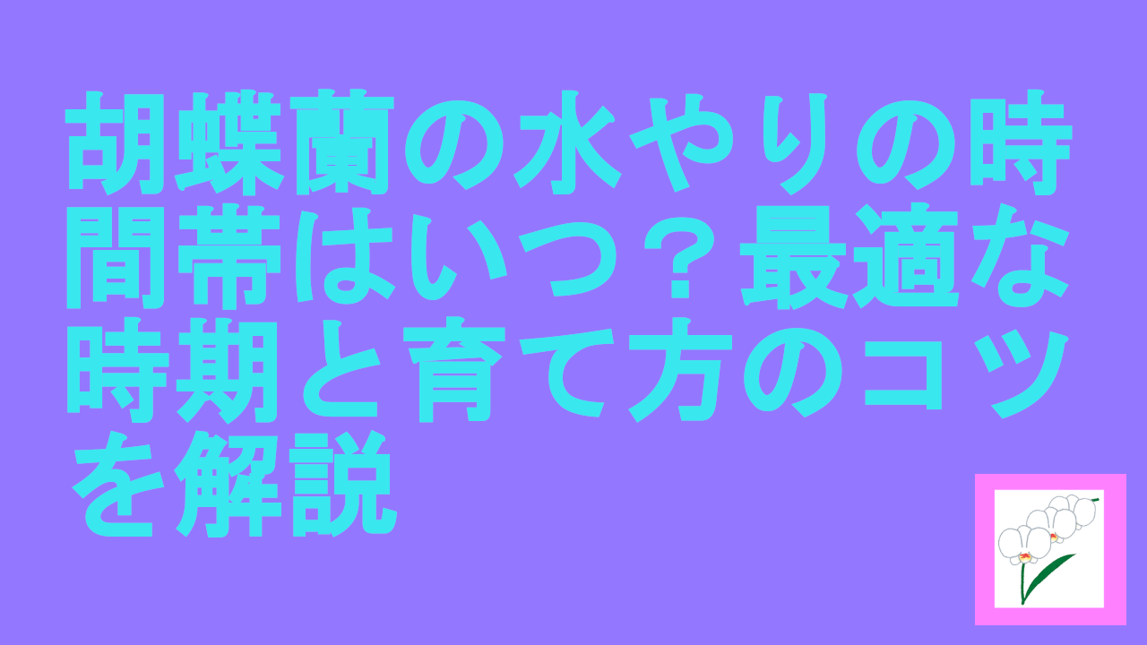 胡蝶蘭の水やりの時間帯はいつ？最適な時期と育て方のコツを解説