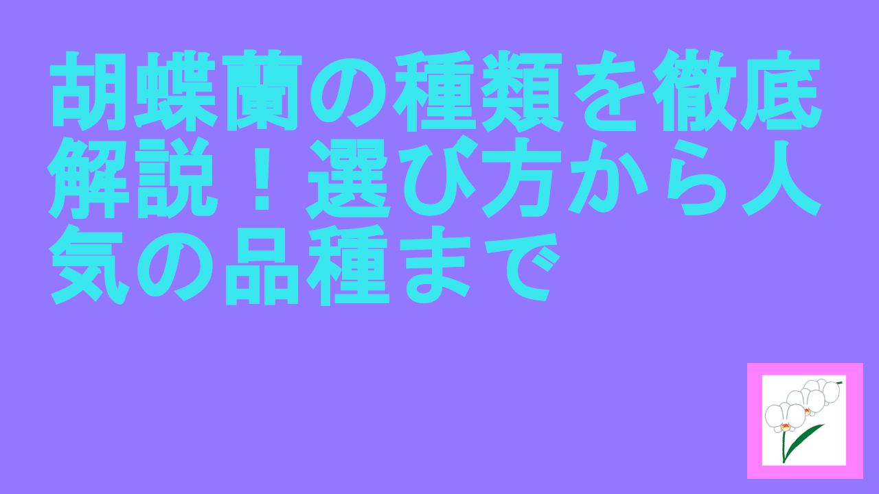 胡蝶蘭の種類を徹底解説！選び方から人気の品種まで