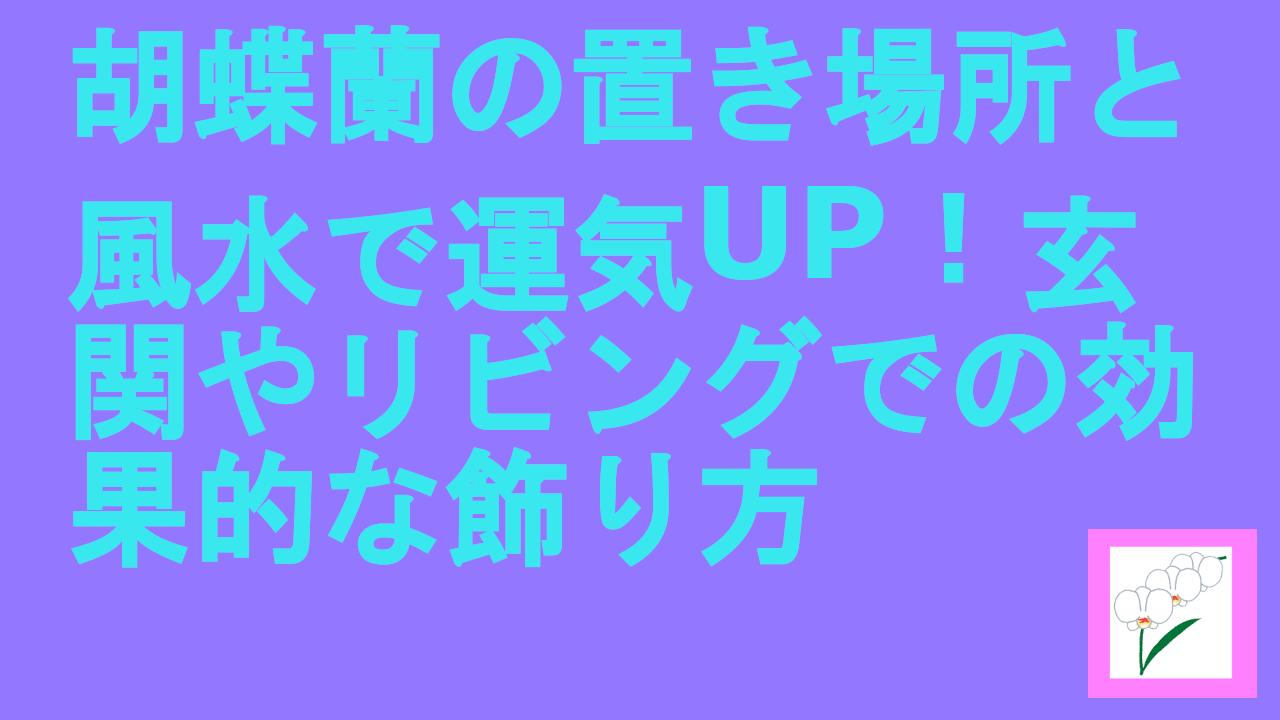 胡蝶蘭の置き場所と風水で運気UP！玄関やリビングでの効果的な飾り方