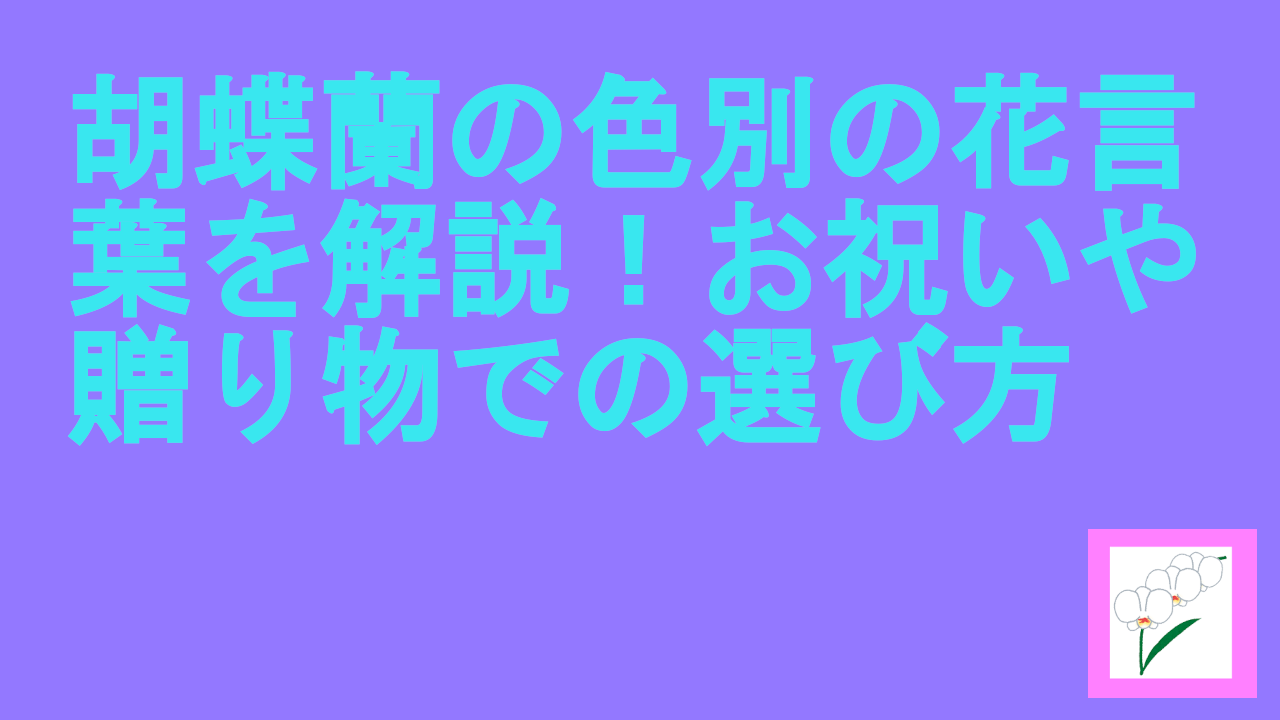胡蝶蘭の色別の花言葉を解説！お祝いや贈り物での選び方