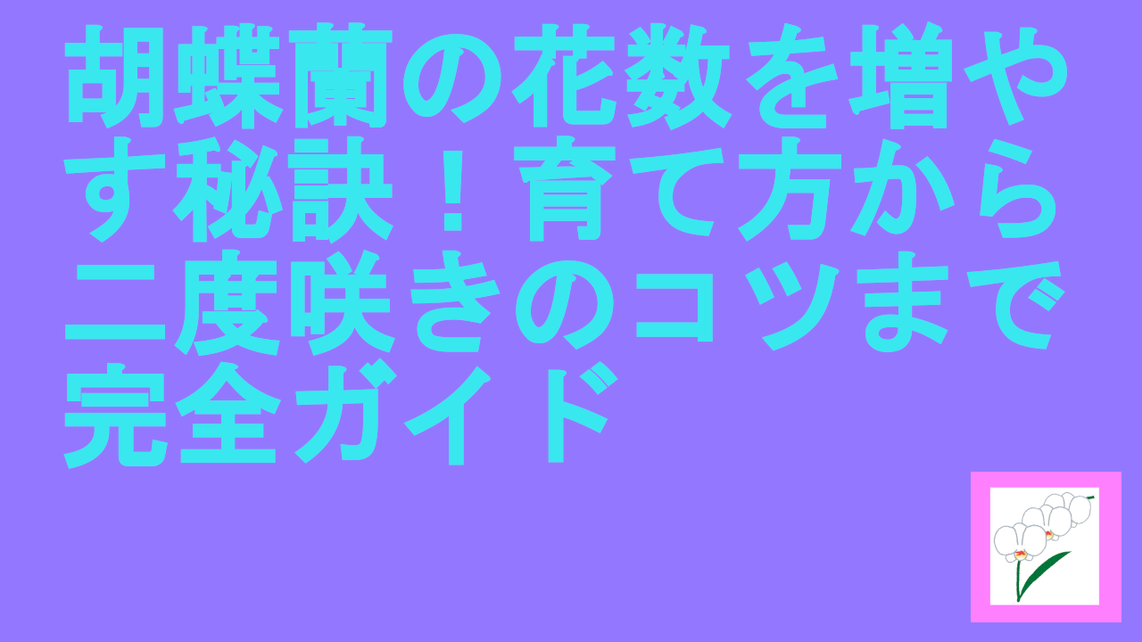 胡蝶蘭の花数を増やす秘訣！育て方から二度咲きのコツまで完全ガイド