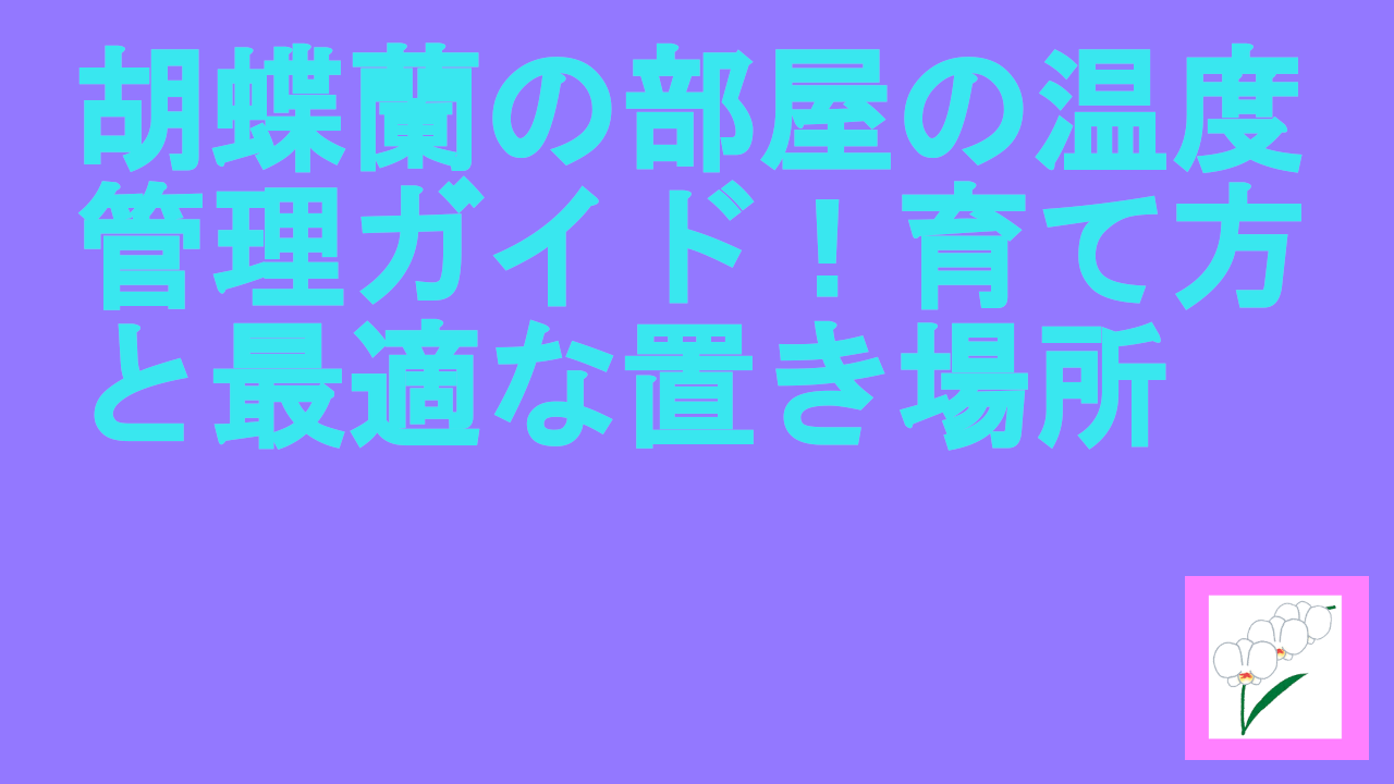 胡蝶蘭の部屋の温度管理ガイド！育て方と最適な置き場所