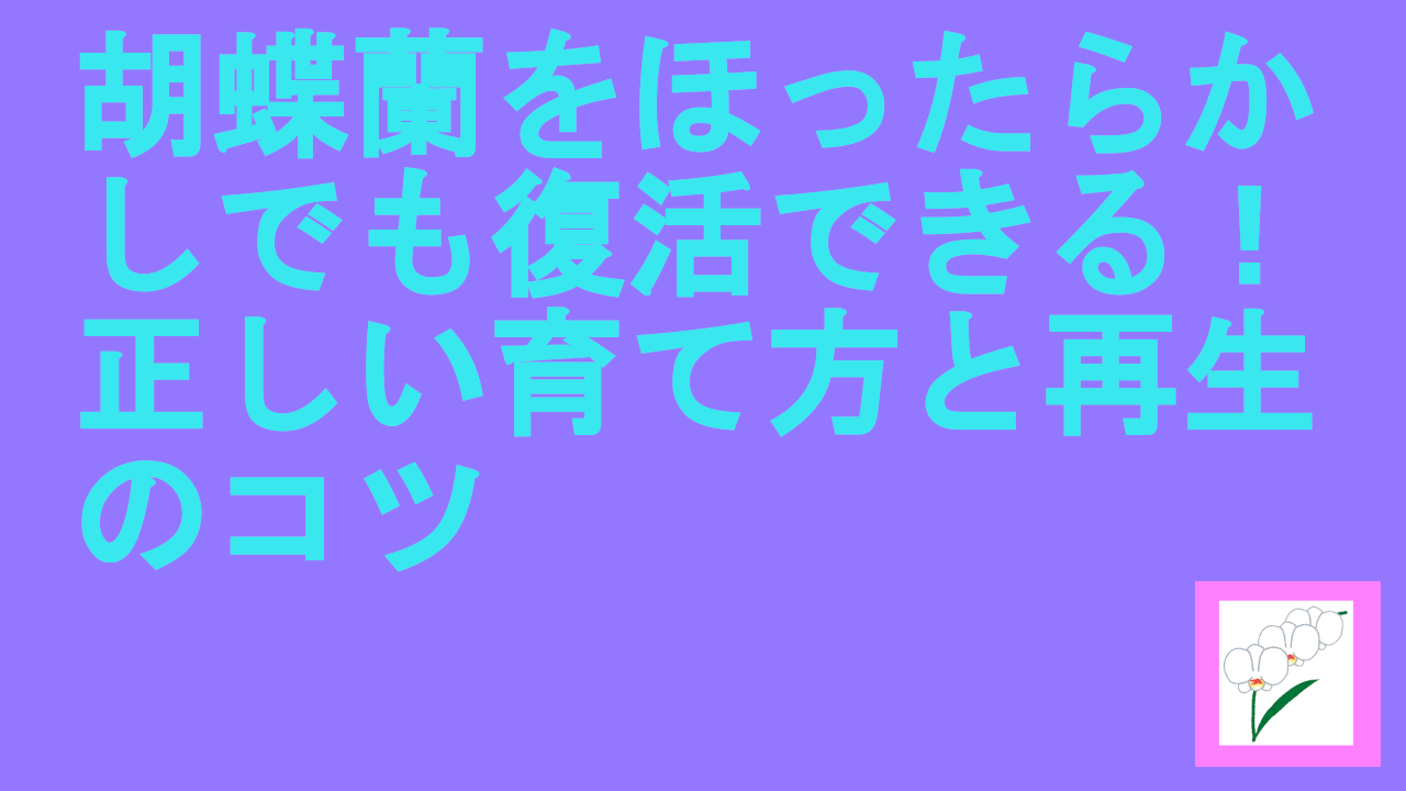 胡蝶蘭をほったらかしでも復活できる！正しい育て方と再生のコツ.