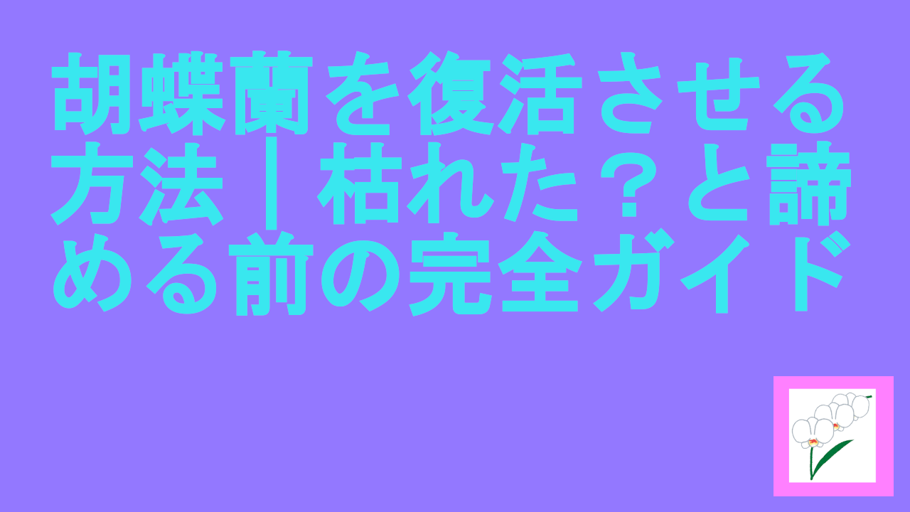 胡蝶蘭を復活させる方法｜枯れた？と諦める前の完全ガイド