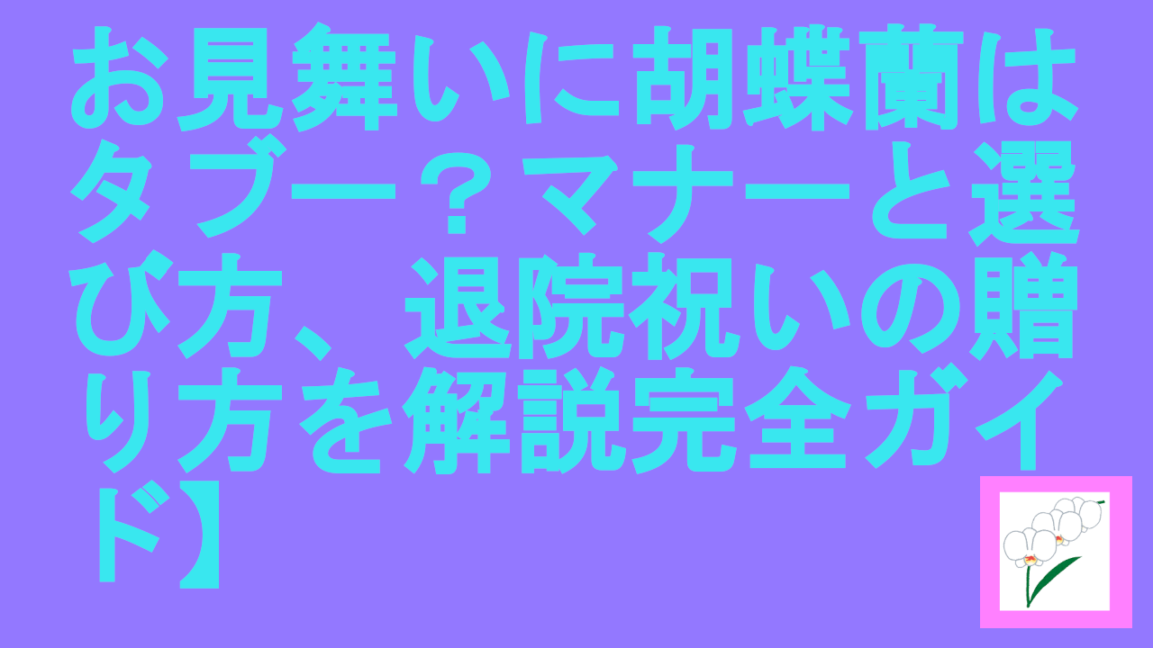 お見舞いに胡蝶蘭はタブー？マナーと選び方、退院祝いの贈り方を解説
