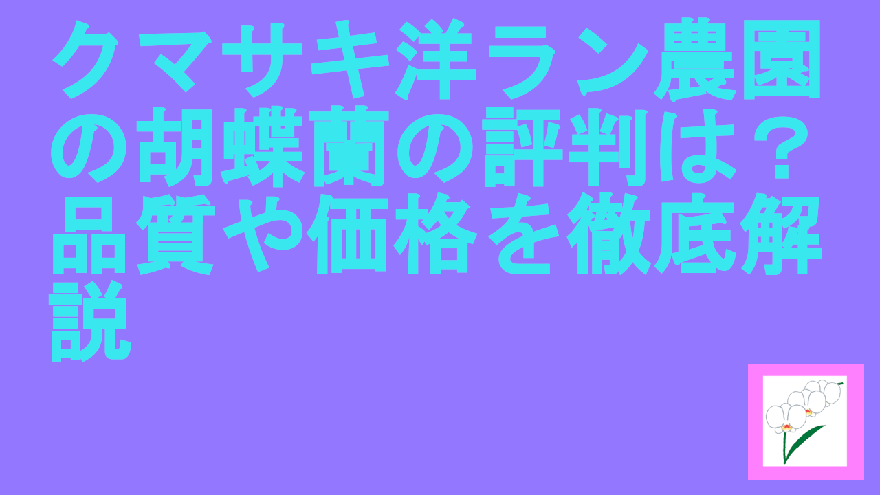 クマサキ洋ラン農園の胡蝶蘭の評判は？品質や価格を徹底解説