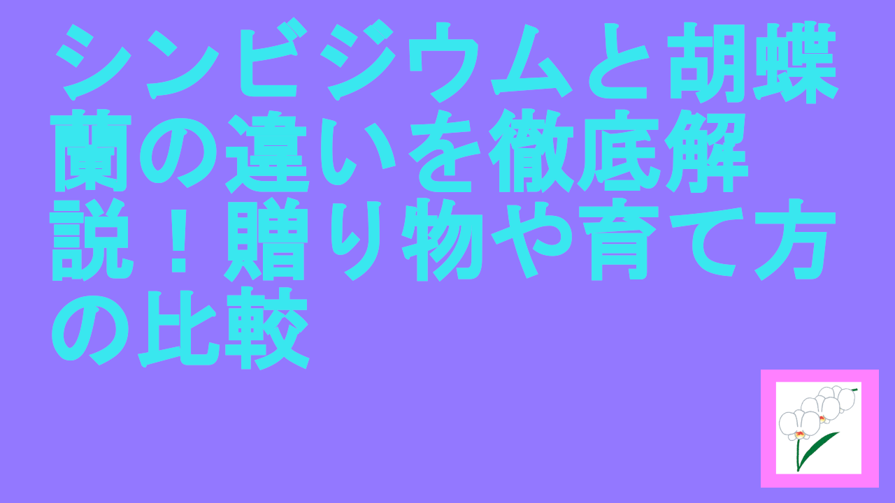 シンビジウムと胡蝶蘭の違いを徹底解説！贈り物や育て方の比較