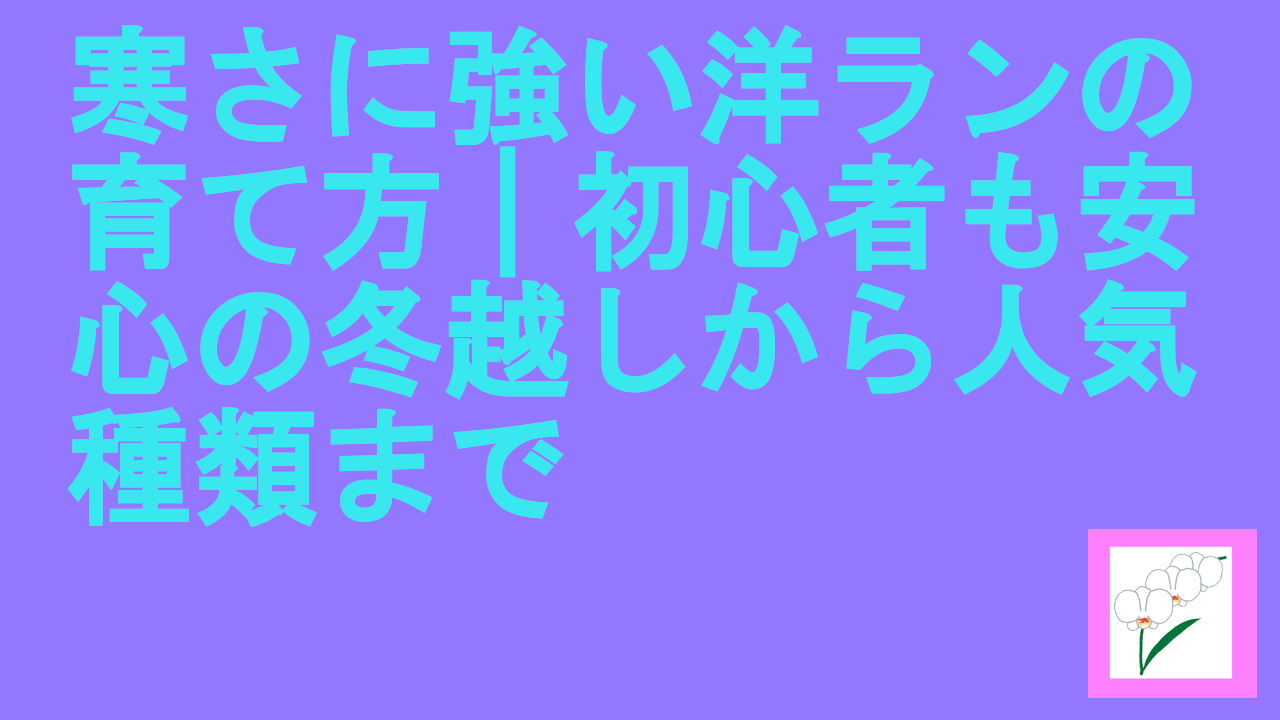寒さに強い洋ランの育て方｜初心者も安心の冬越しから人気種類まで