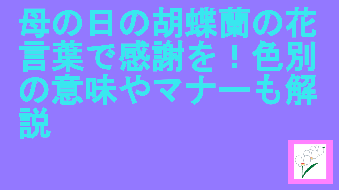 母の日の胡蝶蘭の花言葉で感謝を！色別の意味やマナーも解説