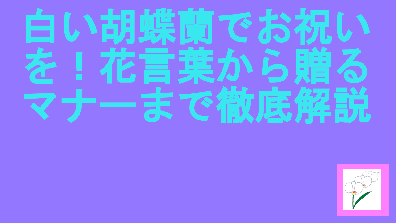 白い胡蝶蘭でお祝いを！花言葉から贈るマナーまで徹底解説