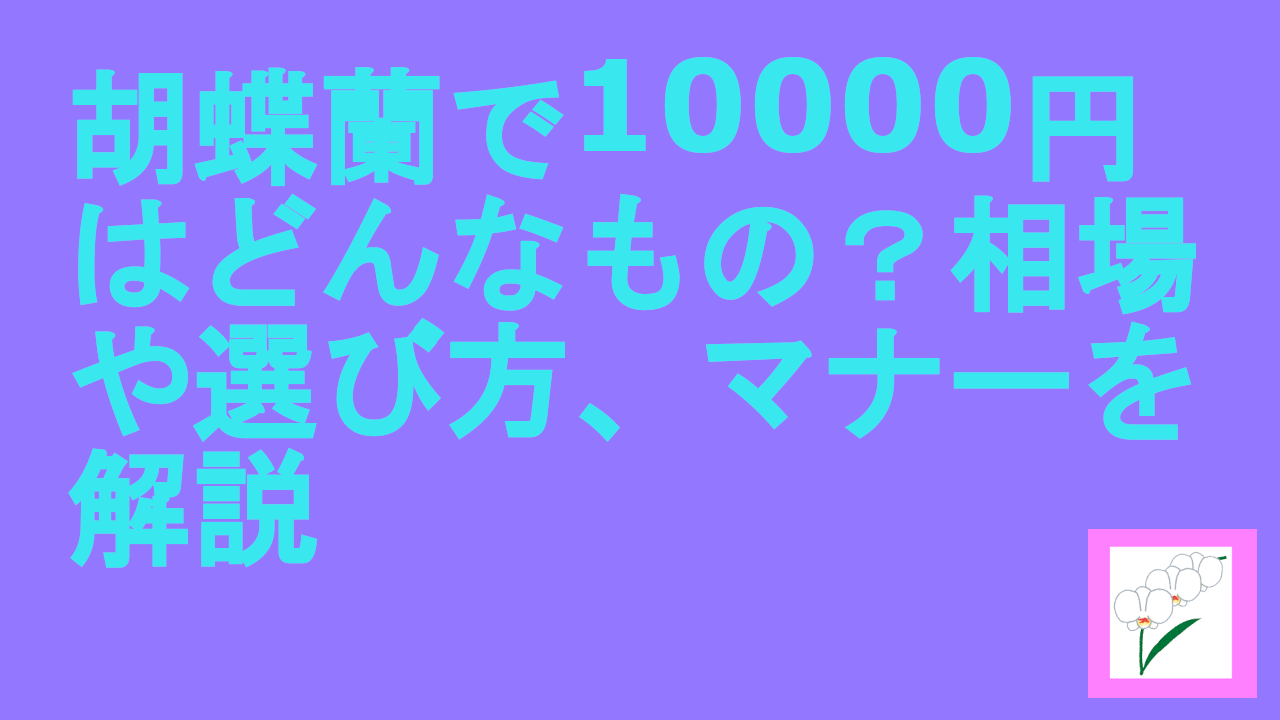 胡蝶蘭で10000円はどんなもの？相場や選び方、マナーを解説