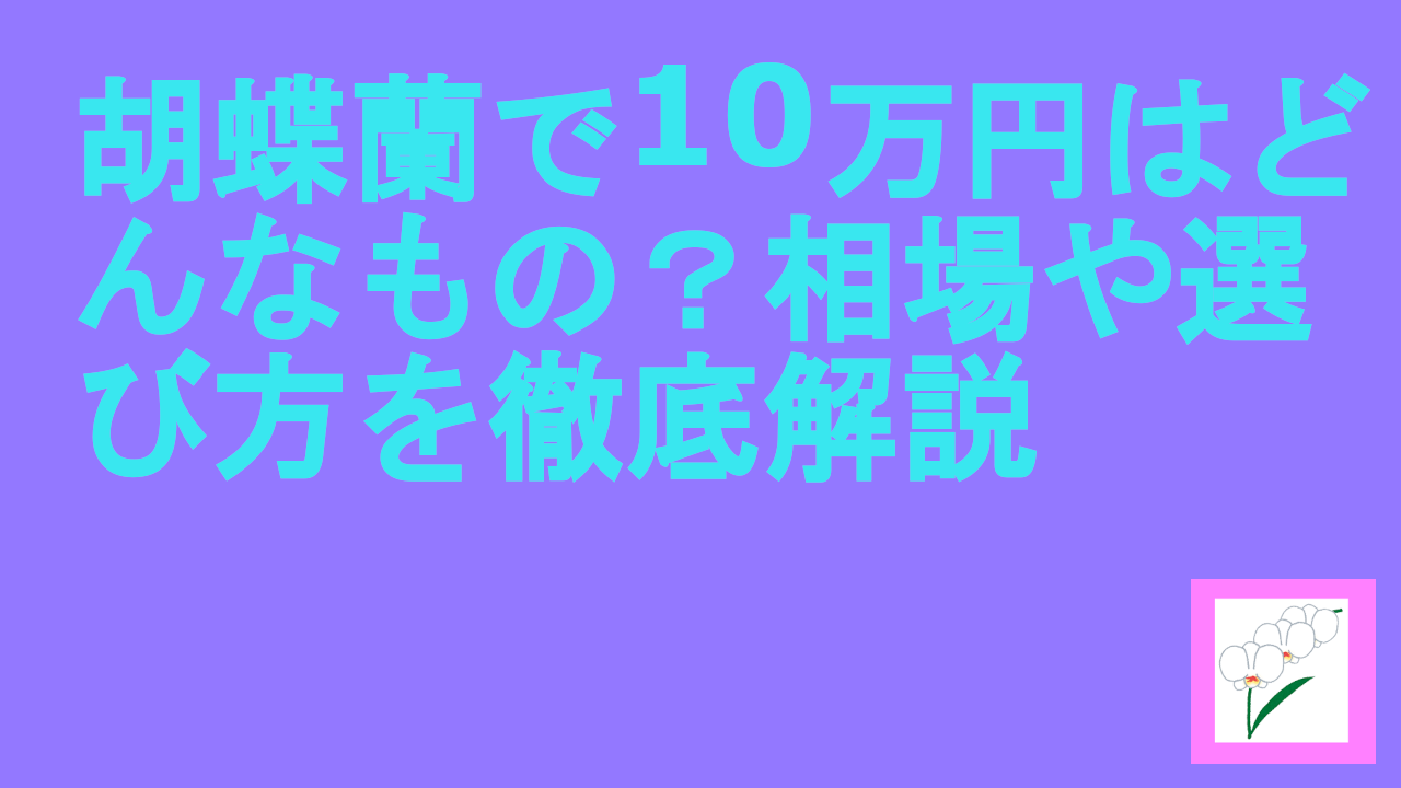 胡蝶蘭で10万円はどんなもの？相場や選び方を徹底解説