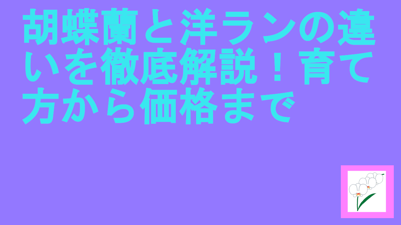 胡蝶蘭と洋ランの違いを徹底解説！育て方から価格まで