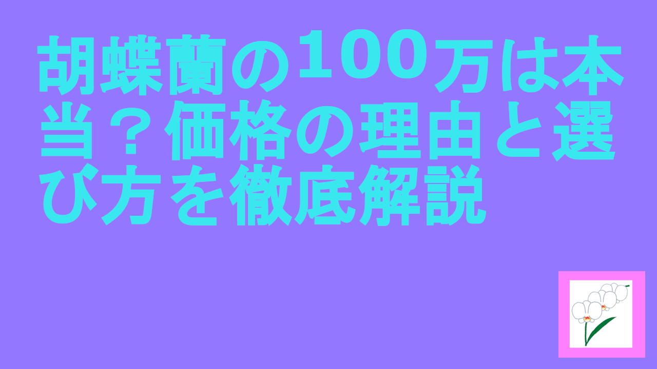 胡蝶蘭の100万は本当？価格の理由と選び方を徹底解説.