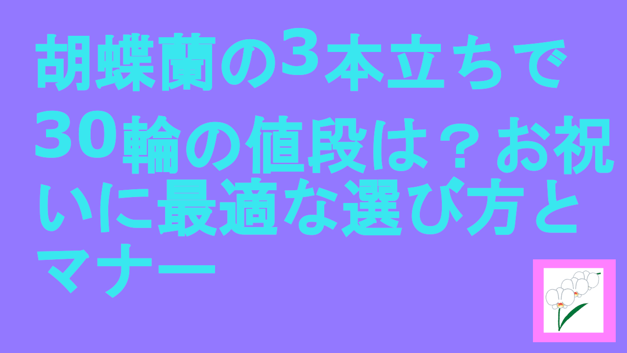 胡蝶蘭の3本立ちで30輪の値段は？お祝いに最適な選び方とマナー