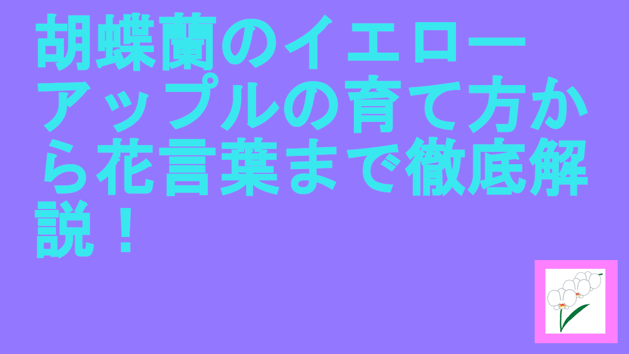 胡蝶蘭のイエローアップルの育て方から花言葉まで徹底解説