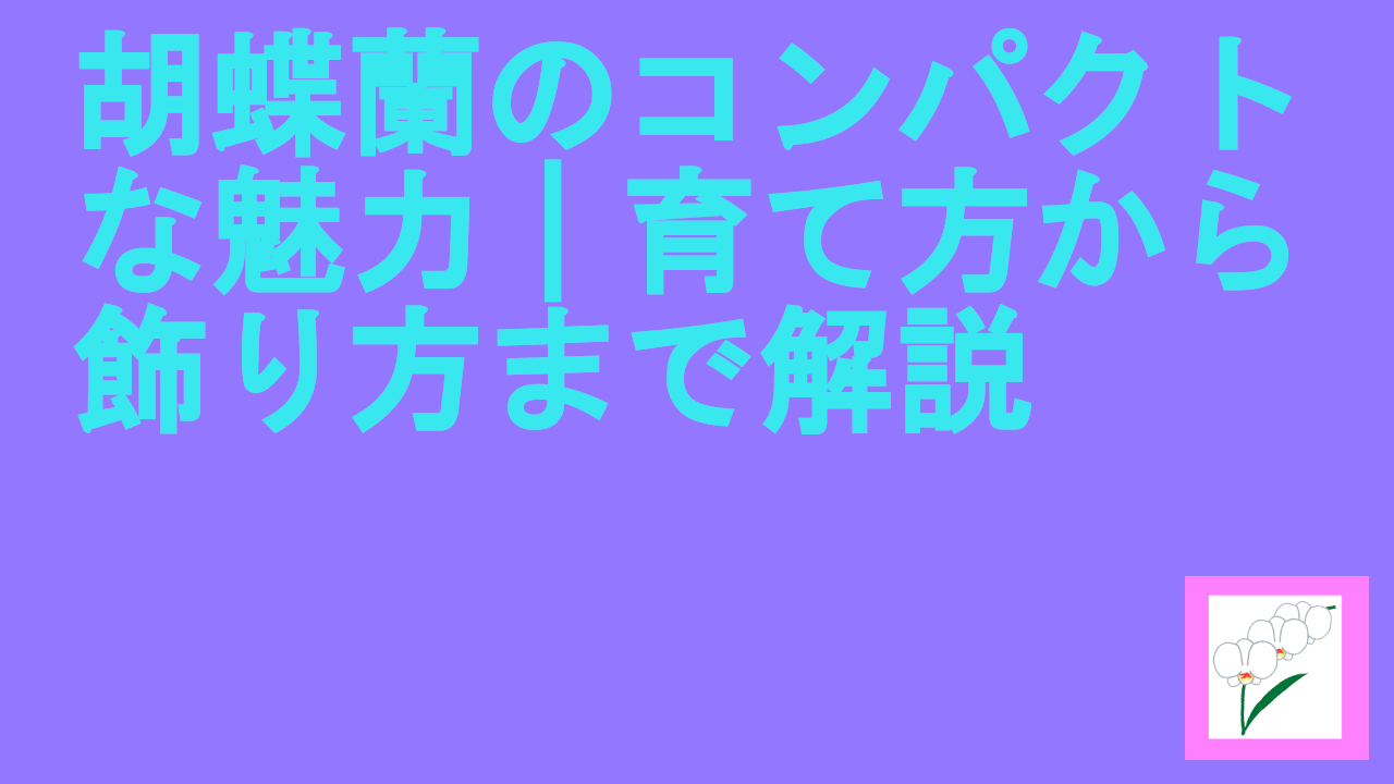 胡蝶蘭のコンパクトな魅力｜育て方から飾り方まで解説