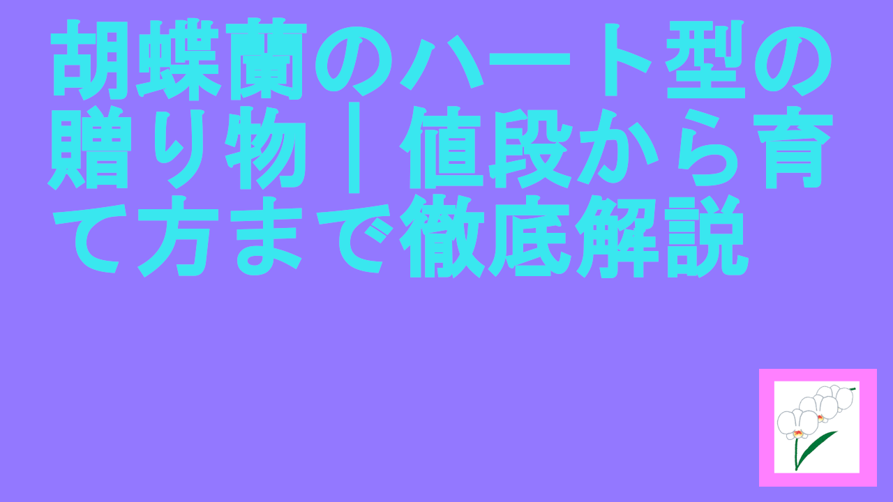胡蝶蘭のハート型の贈り物｜値段から育て方まで徹底解説