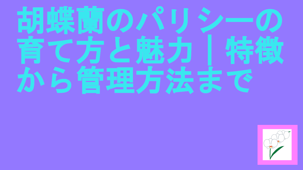 胡蝶蘭のパリシーの育て方と魅力｜特徴から管理方法まで