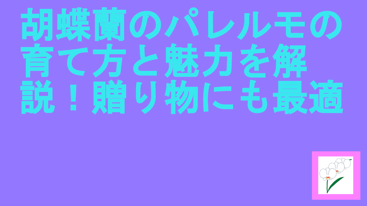 胡蝶蘭のパレルモの育て方と魅力を解説！贈り物にも最適