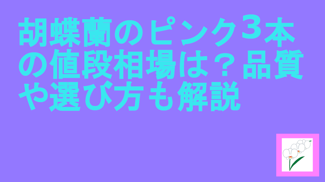 胡蝶蘭のピンク3本の値段相場は？品質や選び方も解説.