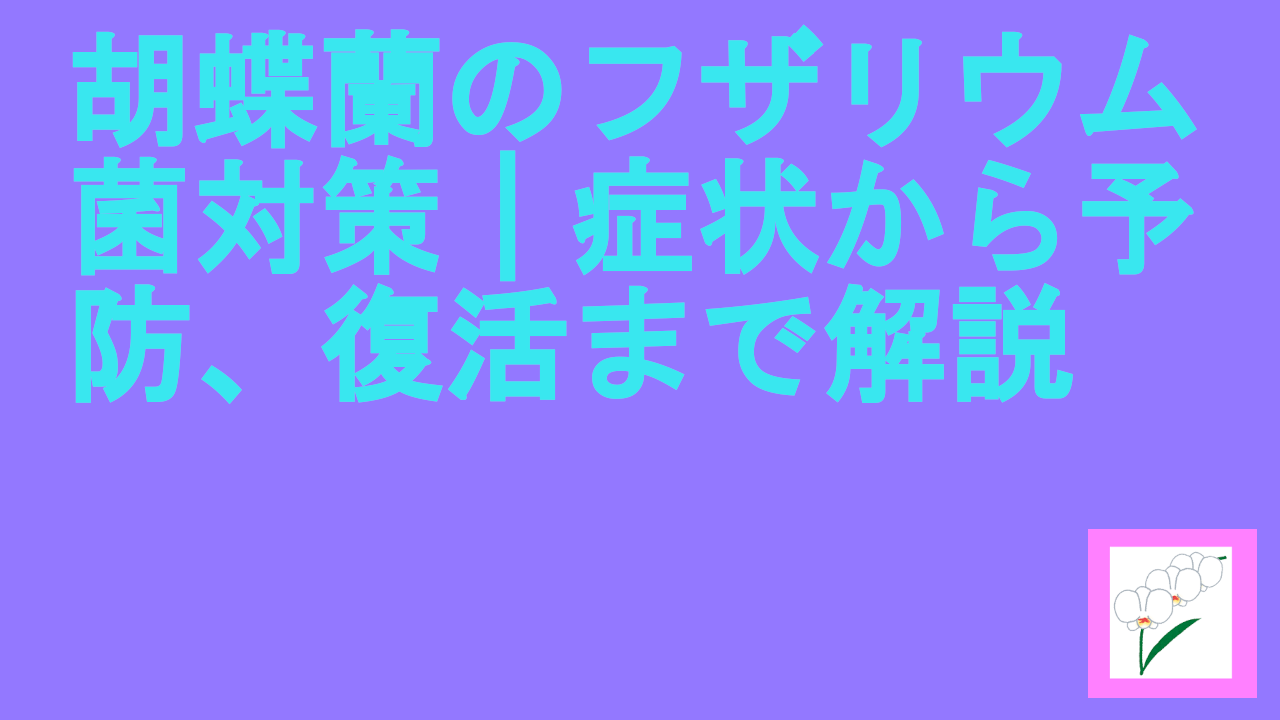 胡蝶蘭のフザリウム菌対策｜症状から予防、復活まで解説