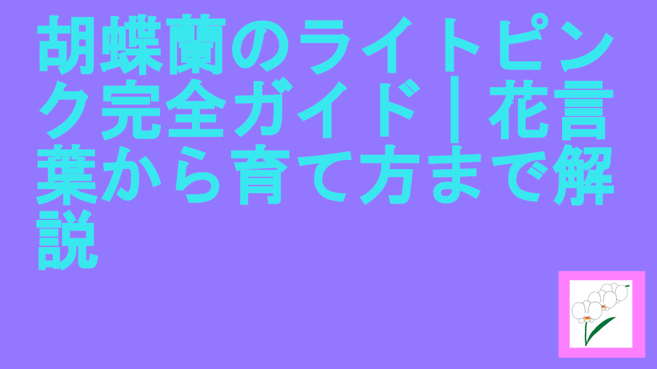 胡蝶蘭のライトピンク完全ガイド｜花言葉から育て方まで解説