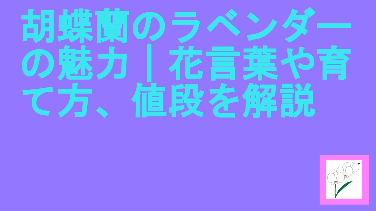 胡蝶蘭のラベンダーの魅力｜花言葉や育て方、値段を解説