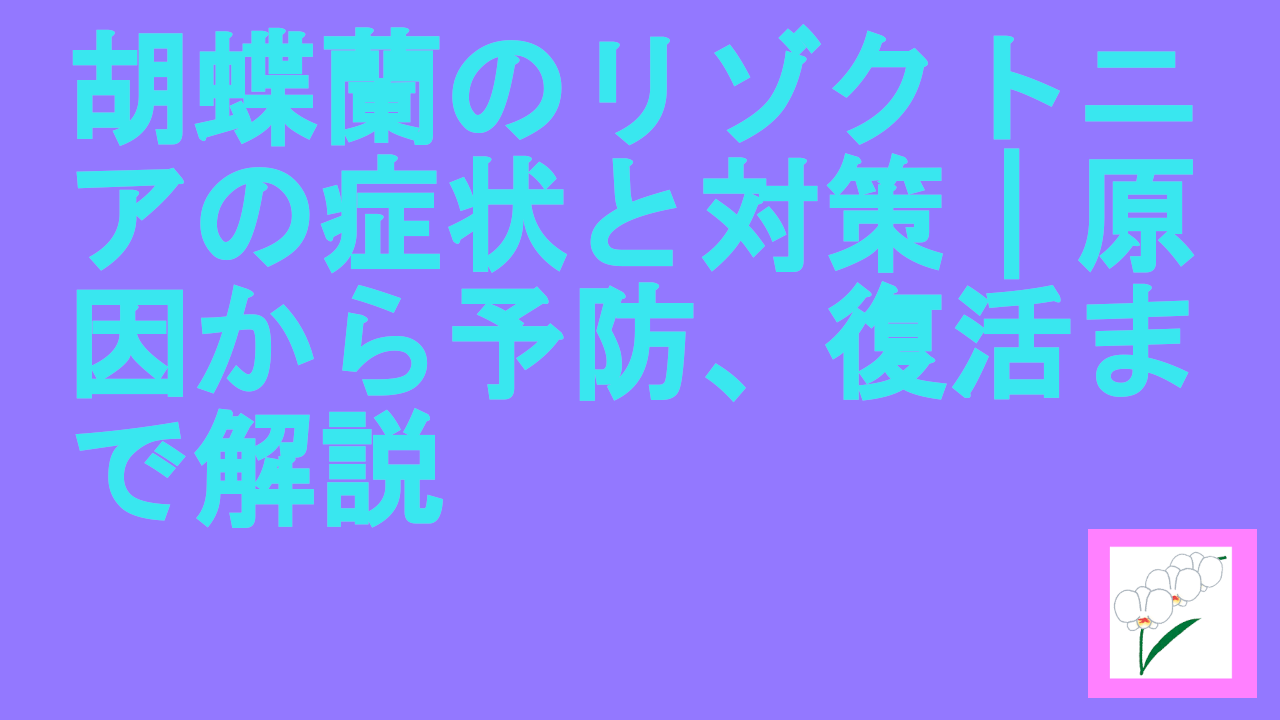 胡蝶蘭のリゾクトニアの症状と対策｜原因から予防、復活まで解説