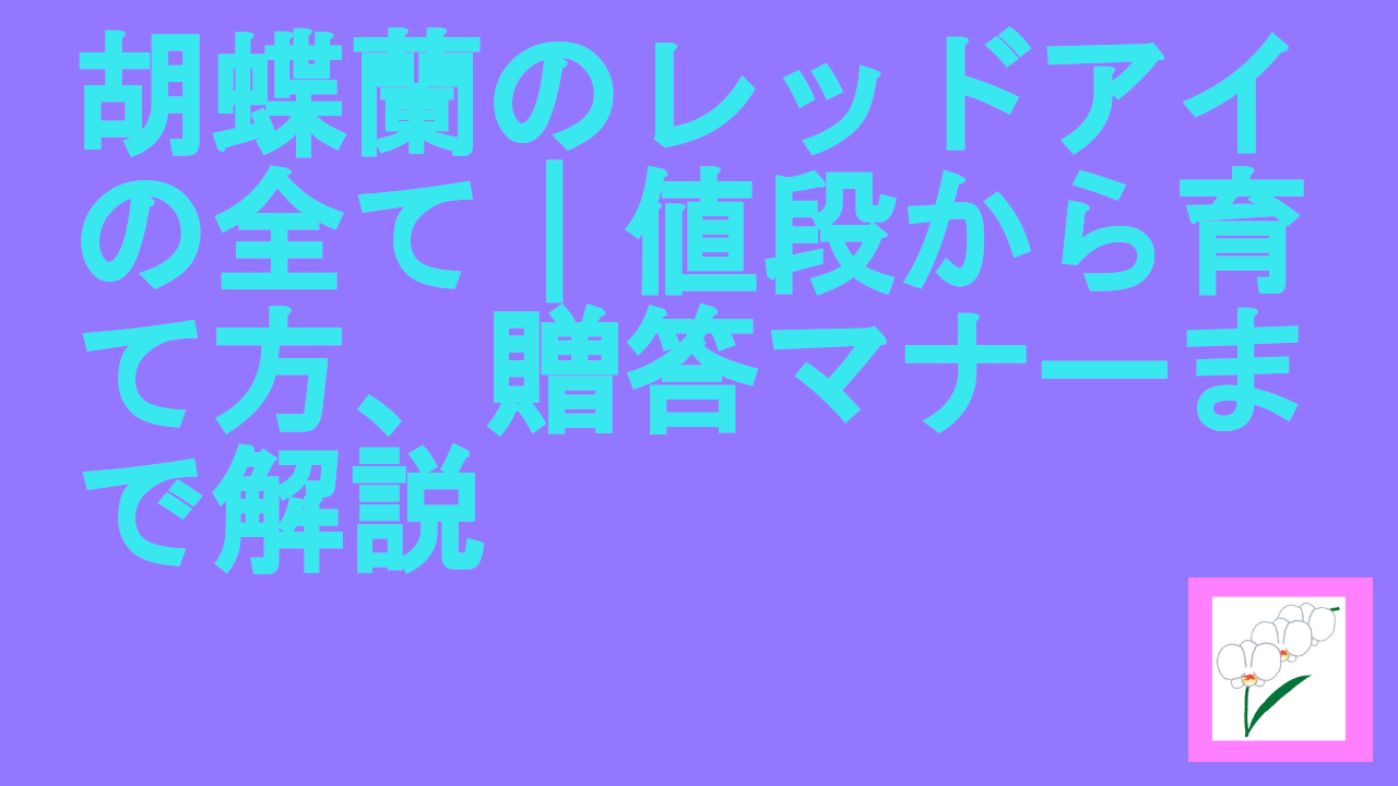 胡蝶蘭のレッドアイの全て｜値段から育て方、贈答マナーまで解説